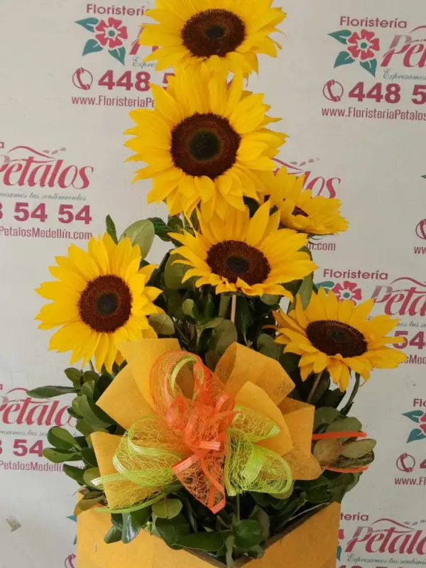 Flores Floristería Itagüí 056